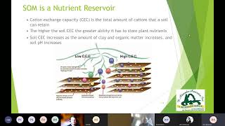 Common Misconceptions about Nutrient Movement amp Availability in Soil Amendments [upl. by Annaes478]