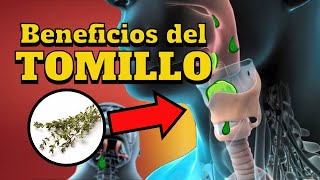 ¡Importante Beneficios del tomillo [upl. by Freed]