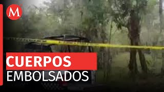 Encuentran cuerpos humanos embolsados y con huellas de violencia en Acayucan Veracruz [upl. by Salba]