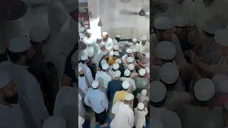 Hazrat Molana Mufti Ajmal Sahab Ustaz Madarsa shahi Moradabad shortvideo [upl. by Kassie]