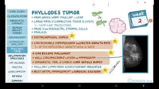 Pathogenesis of Hydatidiform Molar Pregnancy [upl. by Airrehs]