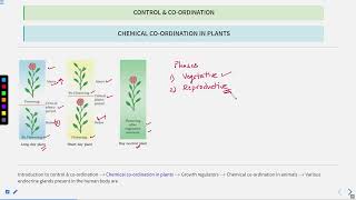 Chapter 4 Control and Coordination Part 2 SATHEEMED swayamprabha medicalentranceexam [upl. by Emerald302]