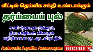 Dharbai pull benefits  significanceof Tharpaipul  Sanidosham neengaதரப்பைப்புல் பயன்கள் [upl. by Ennairak]