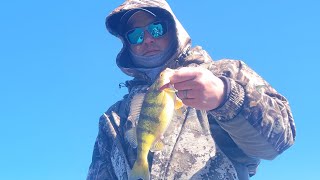 early spring perch fishing Lake Ontario jigging also bonus species [upl. by Liana]