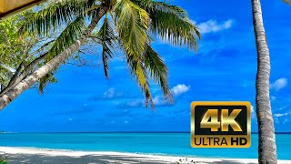 Maldives 4K Video ULTRA HD 60 FPS Epic Drone Footage  Lounge nature [upl. by Gonroff667]