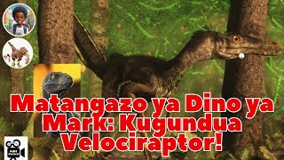 Matangazo ya Dino ya Mark Kugundua Velociraptor [upl. by Gwendolen]