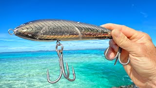 Fishing a Tropical Paradise with Big Baits [upl. by Arik251]