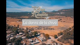 El Gallo Colón Querétaro  La danza de la chiva [upl. by Veradis]