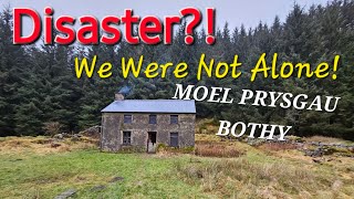 Moel Prysgau Bothy Deep In A Forest in Mid Wales Last of the MBA completed adventure [upl. by Ylaek]