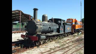 WAGR G233 Leschenault Lady Whistle [upl. by Baldwin752]