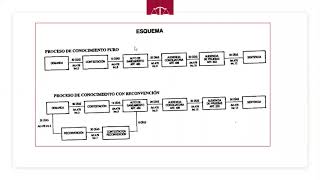 PROCESO CIVIL ORAL ESTRUCTURA DE LOS PROCESOS DE CONOCIMIENTO ABREVIADO Y SUMARISMO [upl. by Pfister500]