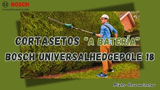 Cortasetos telescópico Bosch Universal Hedge Pool 18 🌿 ¿El mejor cortasetos telescópico a batería [upl. by Onitnas]