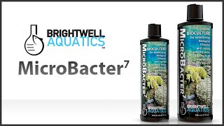 Brightwell Aquatics MicroBacter 7 [upl. by Etak739]