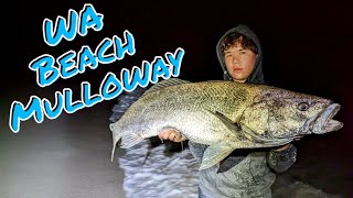 Mulloway Madness in the Surf  Beach Fishing North of Perth [upl. by Airres]