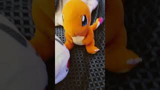 charmander gets kicked out plush meme [upl. by Searle229]