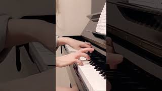 내 마음 속 미뉴에트 harmony from Kempff  Handel Menuetto in G minor [upl. by Acnaiv]