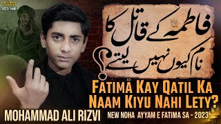 Bibi Fatima Noha 202324  Fatima Ke Qatil Ka Naam Kiyun Nahi Lety  Mohammad Ali Rizvi AyameFatima [upl. by Artenehs]