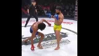 Aj mckee vs Patricio pitbull Bellator mma shorts mma [upl. by Roe473]