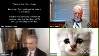 Zoom cattastrophe brings attorney Internet fame [upl. by Ilaire]