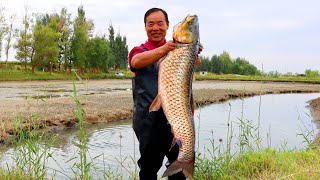 HUGE Carp Fish Fresh Caught from the Pond The Best Fish Stewed with Tofu  Uncle Rural Gourmet [upl. by Nerrej]