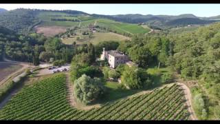 POGGERINO VINEYARD DRONE VIDEO [upl. by Mundt]