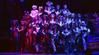 CATS  Vienna  Prologue Jellicle Songs for Jellicle Cats 2019 [upl. by Yaron]