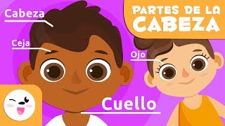 Las partes del cuerpo  La cabeza  Vocabulario para niños [upl. by Morril960]