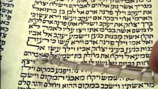 Maftir Reading Toldot Torah Rabbi Weisblum קריאת מפטיר תולדות הרב ויסבלום [upl. by Stringer452]