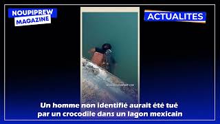 Un homme tué par un crocodile au Mexique [upl. by Hendry]