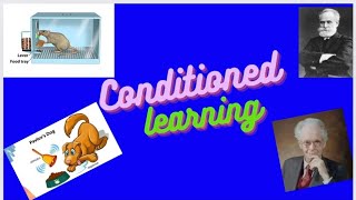 Conditioned learning classical Pavlov Dog Bell Operant Skinner rat UPSC mains 2022 ZOOLOGY UGC CBCS [upl. by Ijic177]