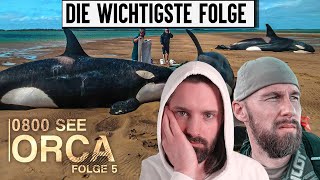 Desaster Robert Marc Lehmanns 0800 Sea Orca Folge 5  Filmemacher reagiert [upl. by Omixam]