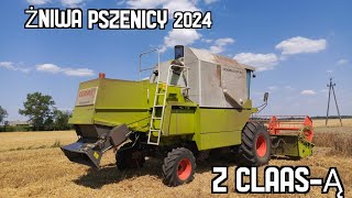 âś© Ĺ»niwa pszenicy 2O24 ă‹ˇ Claas Dominator 150 Hydro Drive âś© [upl. by Ailene]