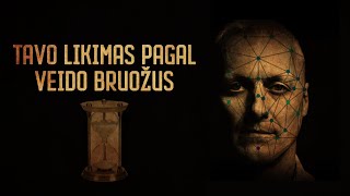 LIKIMAS PAGAL VEIDO BRUOŽUS  ŽYDRŪNAS SADAUSKAS  ZIZAS PODCAST [upl. by Yelnet]