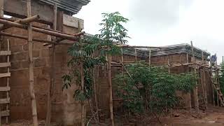 Affordable parapet in Edo State Nigeria [upl. by Shanleigh]