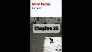 25  La peste de Camus  Chapitre 25  livre audio [upl. by Jonina]