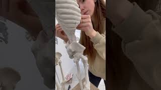 Our anatomy teacher demonstrates the process of creating an écorché in clay to explai [upl. by Mcgurn]