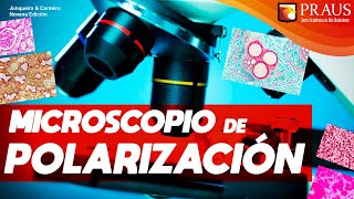 MICROSCOPIO DE POLARIZACIÓN [upl. by Eibrab915]