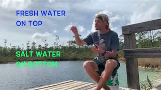 Tayts Nature Show  Bahamas Episode 1 Diving Cousteaus Blue Hole [upl. by Yelnik]