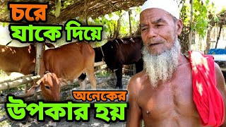 চরে যাকে দিয়ে অনেকের উপকার হয়  Rural Life [upl. by Quenby324]