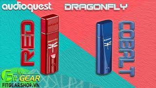 Audioquest Dragonfly COBALT và Dragonfly RED  So tài giữa 2 chiếc USB DAC cao cấp [upl. by Anitnahs]