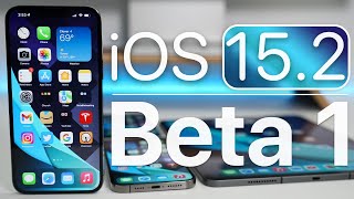 iOS 152 Beta 1 is Out  Whats New [upl. by Euqinotna611]