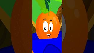 Five Little Oranges shorts nurseryrhymes mrbaby preschool kindergarten [upl. by Killarney856]