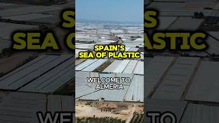 What is SPAINS SEA OF PLASTIC ALMERIA [upl. by Notsud]