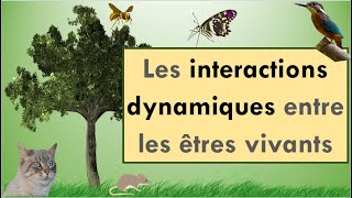 Les interactions dynamiques entre les êtres vivants [upl. by Nossyla]