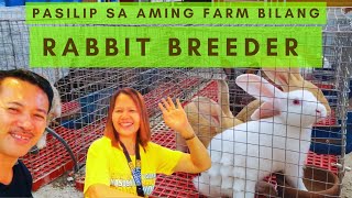 Best Rabbit Farm In The Philippines [upl. by Ynohtona]