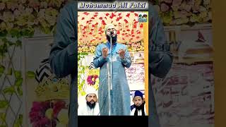 Mola ya salli wa sallim naat sharif mohammad ali faizi mohammadalifaizinaat anhatlstar shorts [upl. by Ainitsirc]