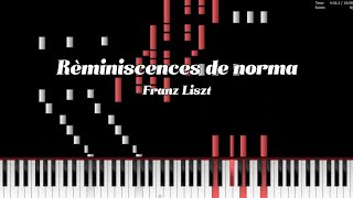 Franz Liszt  RÃ¨miniscences de norma S394 [upl. by Cooperstein]