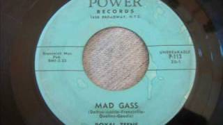 Rare 50s Rock and Roll  Mad Gass  Royal Teens [upl. by Enitsua]