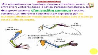 02 les arguments  évolution biologique  Bac Tunisie [upl. by Auohs]