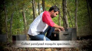 Collecting Anopheles Mosquitoes Using Resting Boxes [upl. by Waers740]